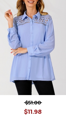 Lace Trim Turndown Collar Blue Long Sleeve Blouse