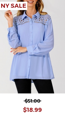 Lace Trim Turndown Collar Blue Long Sleeve Blouse